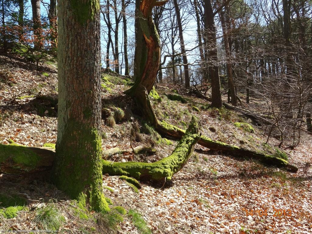 Wandertour Pfälzer Hüttentour