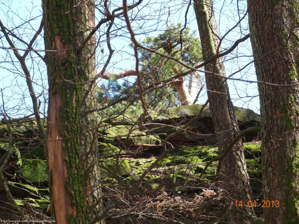 Wandertour Pfälzer Hüttentour