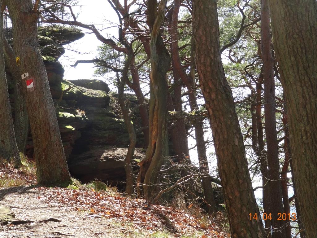 Wandertour Pfälzer Hüttentour