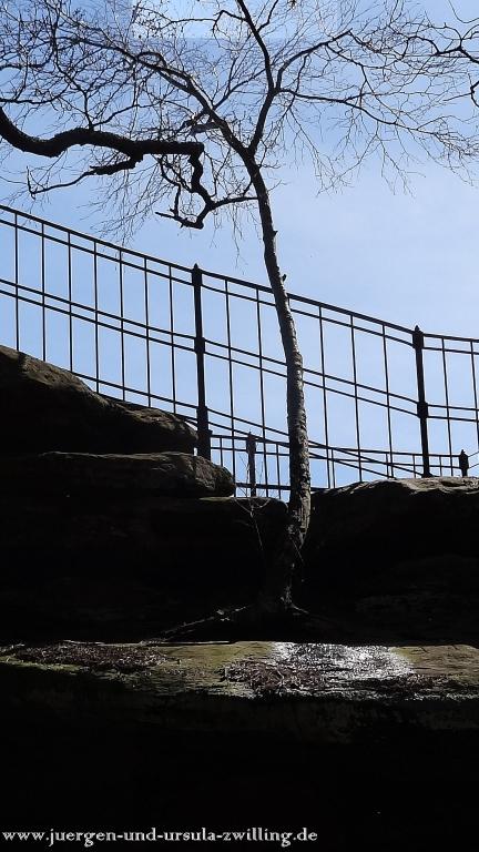 Wandertour Pfälzer Hüttentour