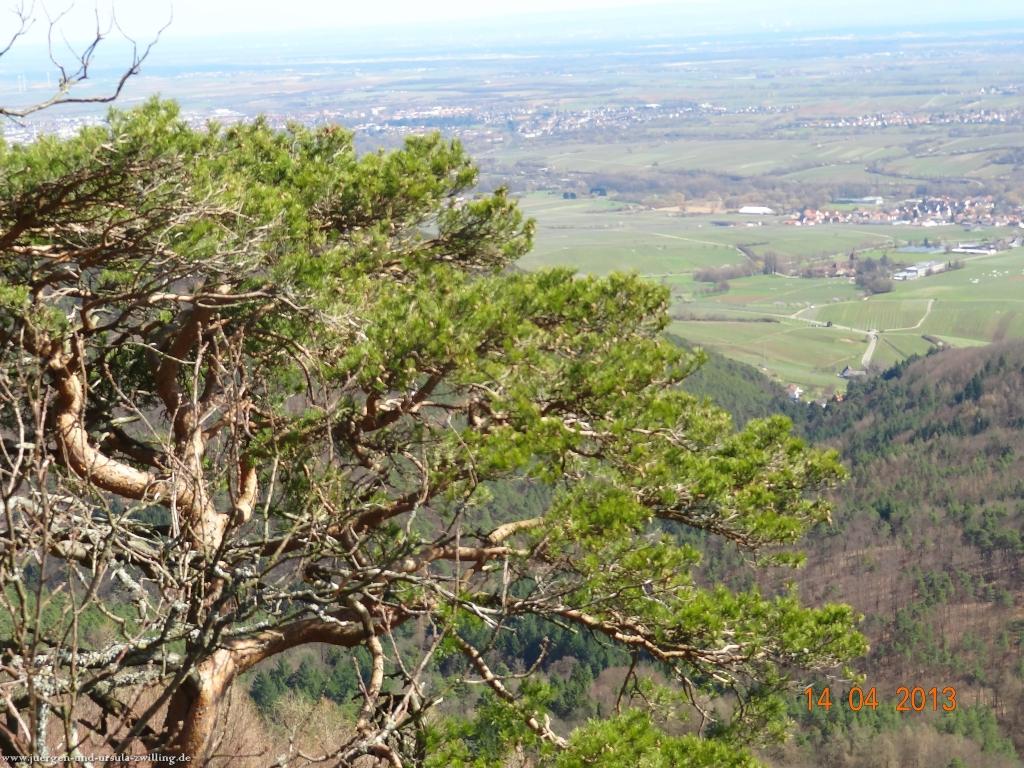 Wandertour Pfälzer Hüttentour