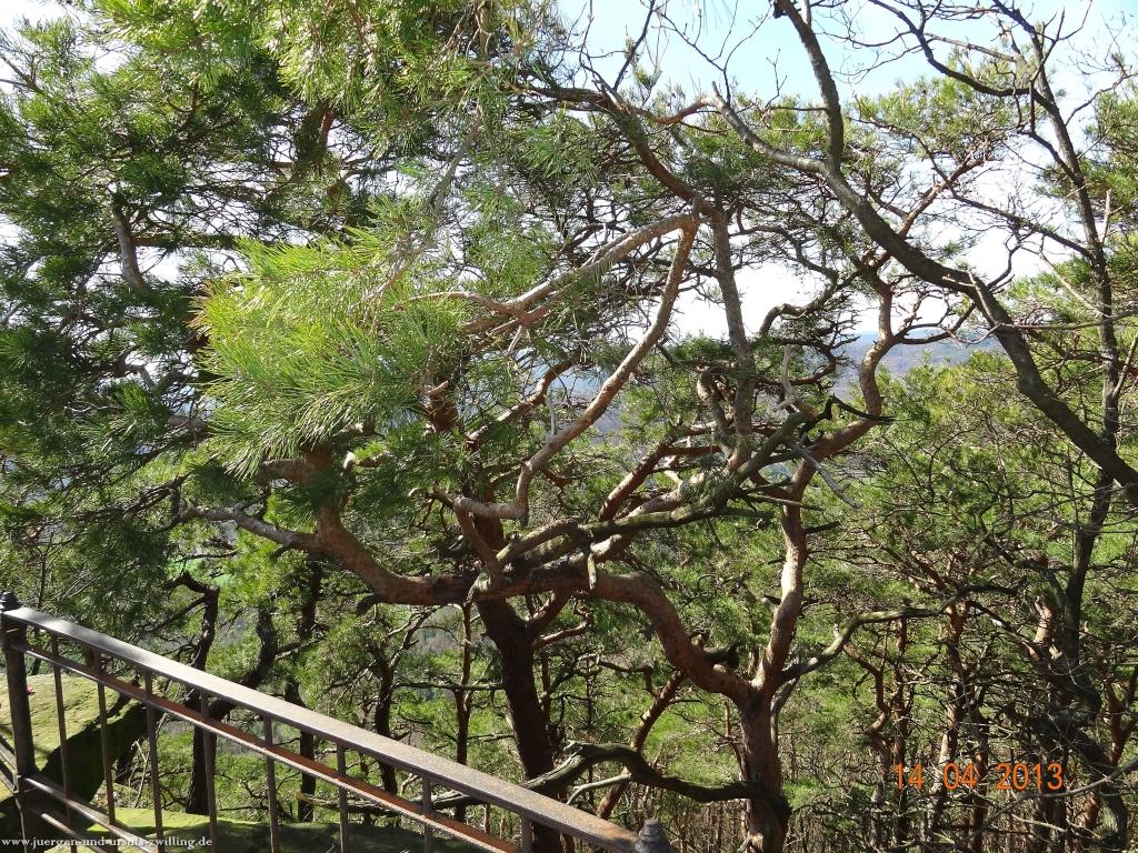 Wandertour Pfälzer Hüttentour