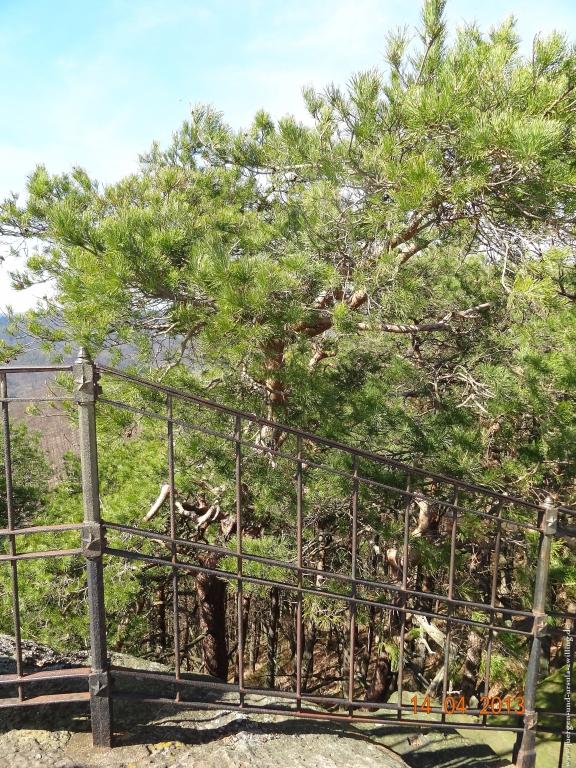 Wandertour Pfälzer Hüttentour