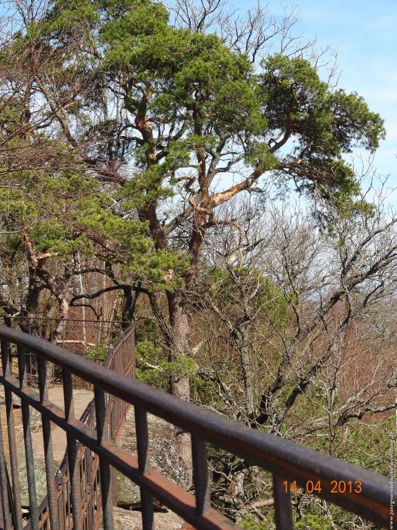 Wandertour Pfälzer Hüttentour