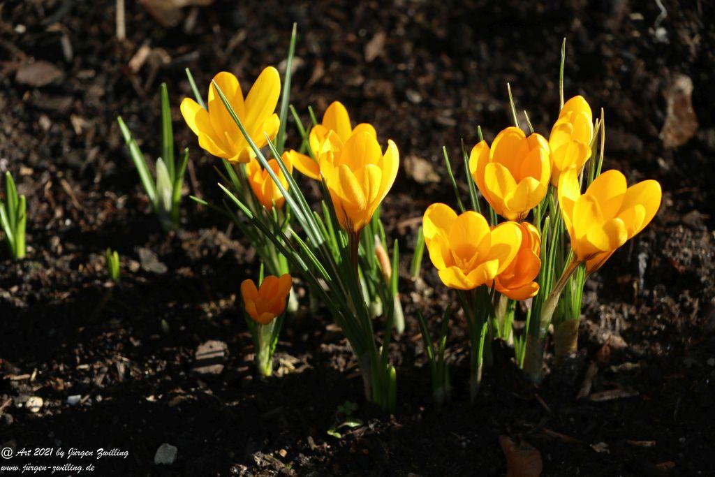 Frühlingsstart in Rheinhessen