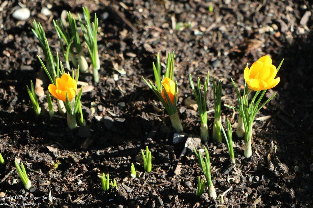 Frühlingsstart in Rheinhessen