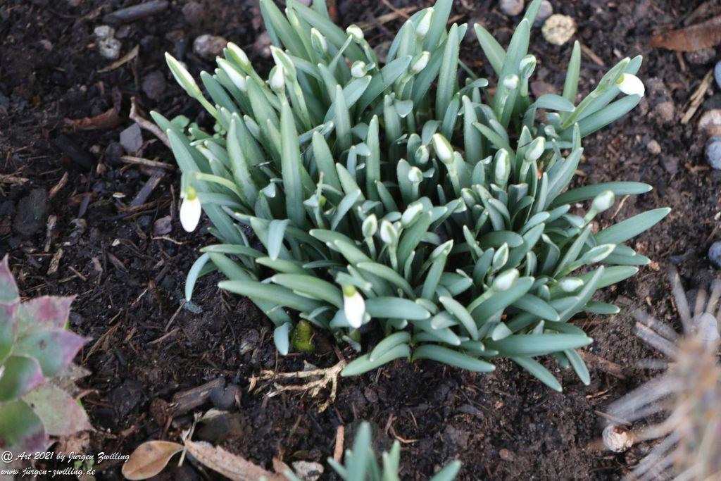 Frühlingsstart in Rheinhessen