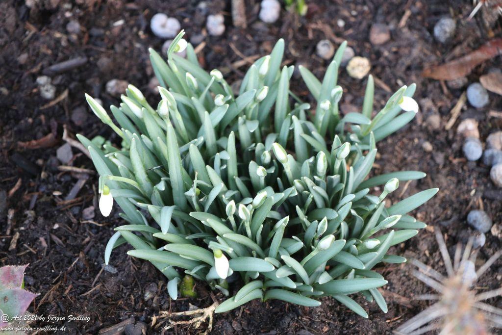 Frühlingsstart in Rheinhessen