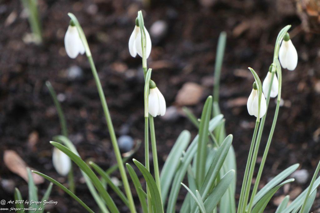 Frühlingsstart in Rheinhessen