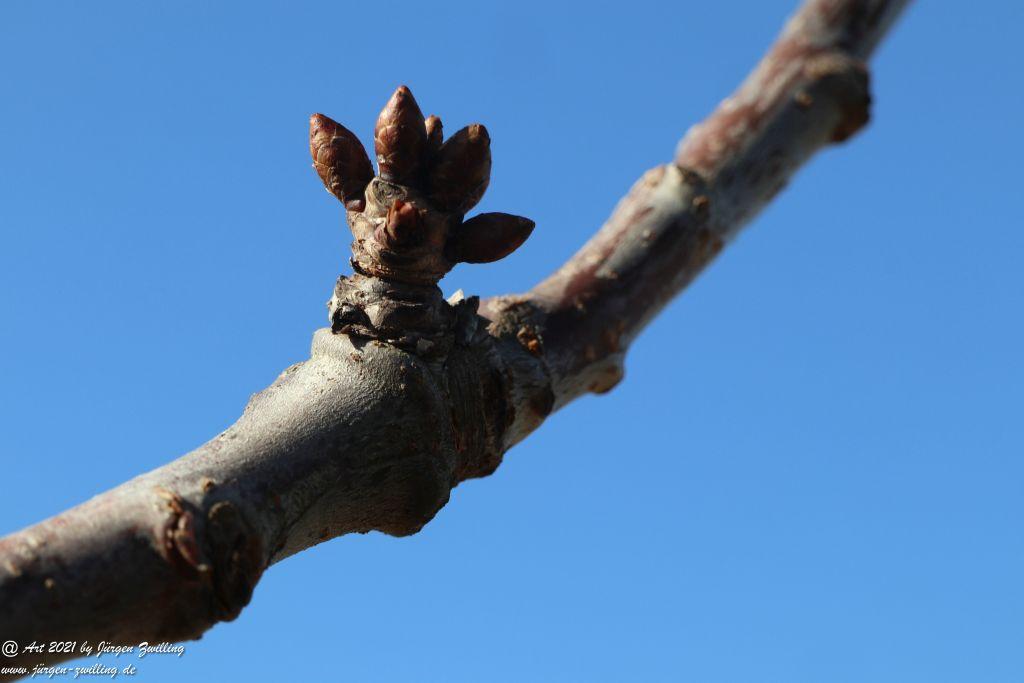Frühlingsstart in Rheinhessen