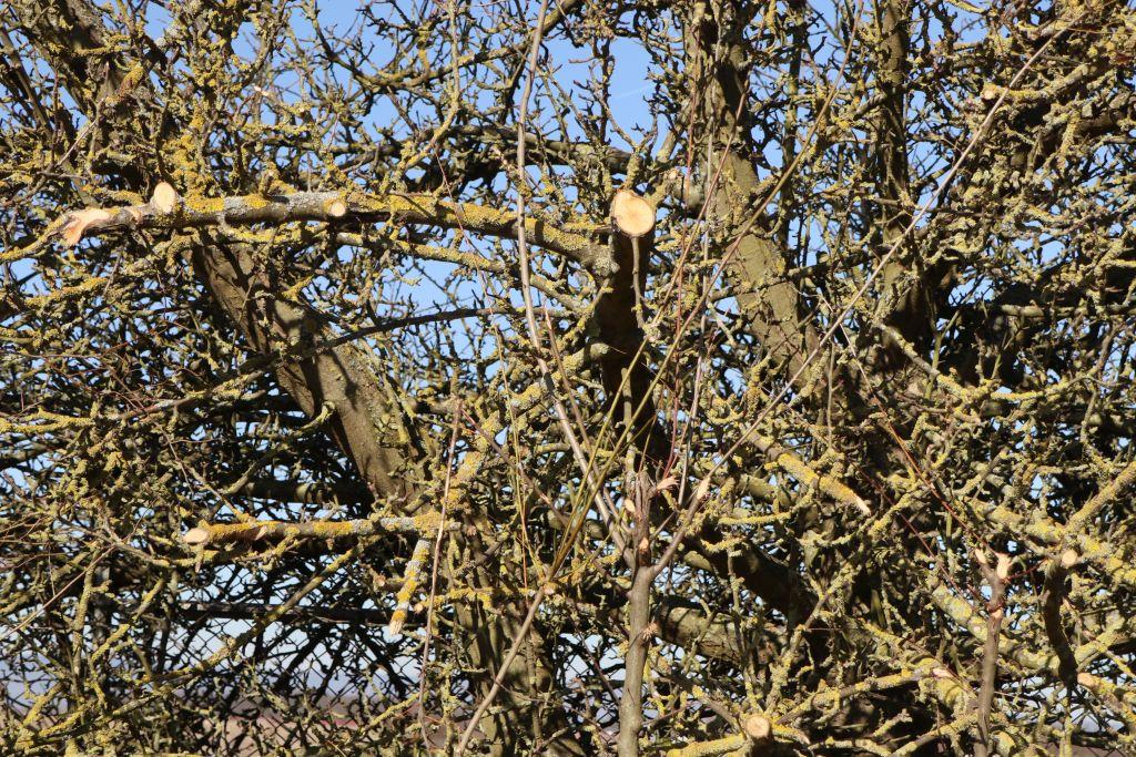 Frühlingsstart in Rheinhessen