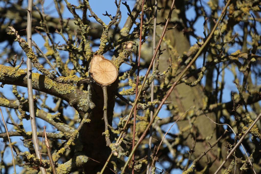 Frühlingsstart in Rheinhessen