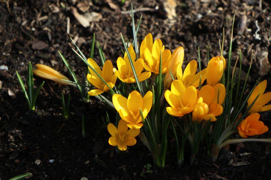 Frühlingsstart in Rheinhessen
