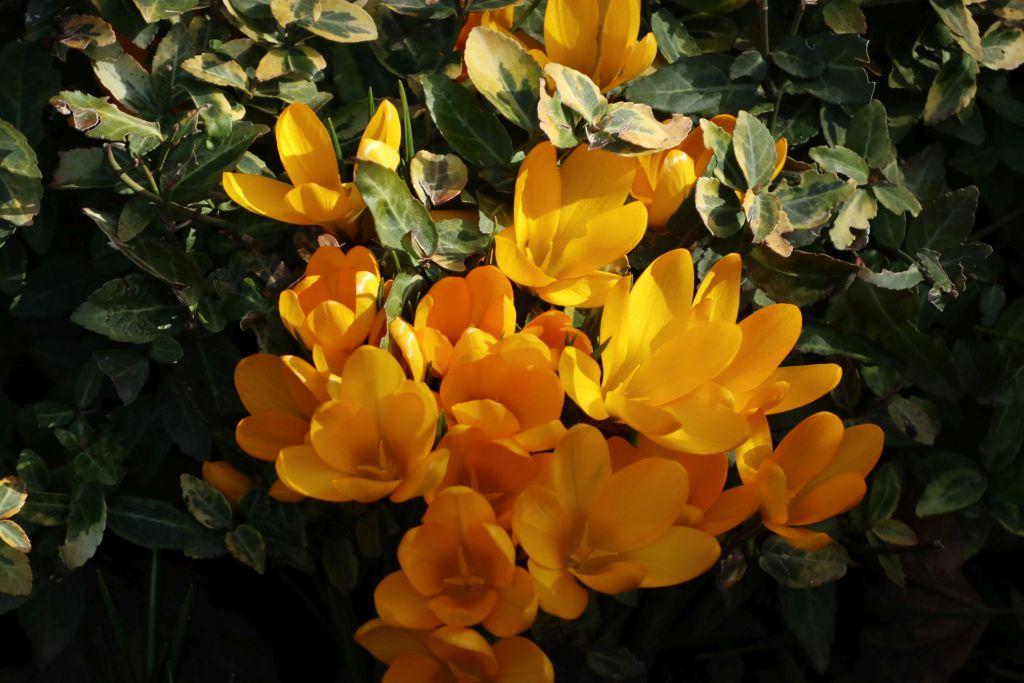 Frühlingsstart in Rheinhessen