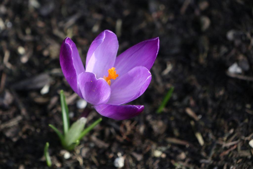 Frühlingsstart in Rheinhessen