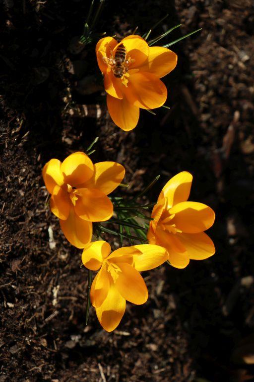 Frühlingsstart in Rheinhessen