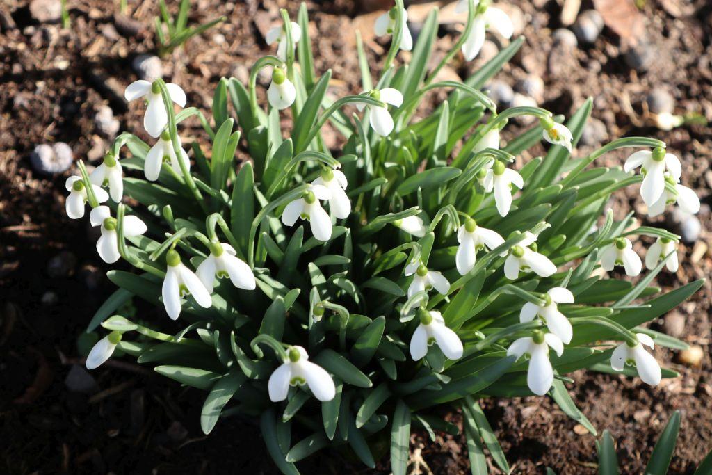 Frühlingsstart in Rheinhessen