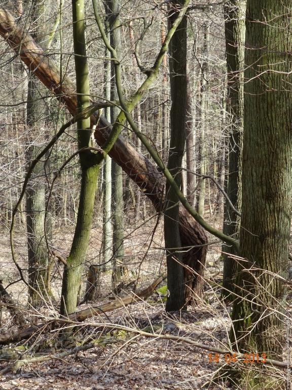 Wandertour Pfälzer Hüttentour