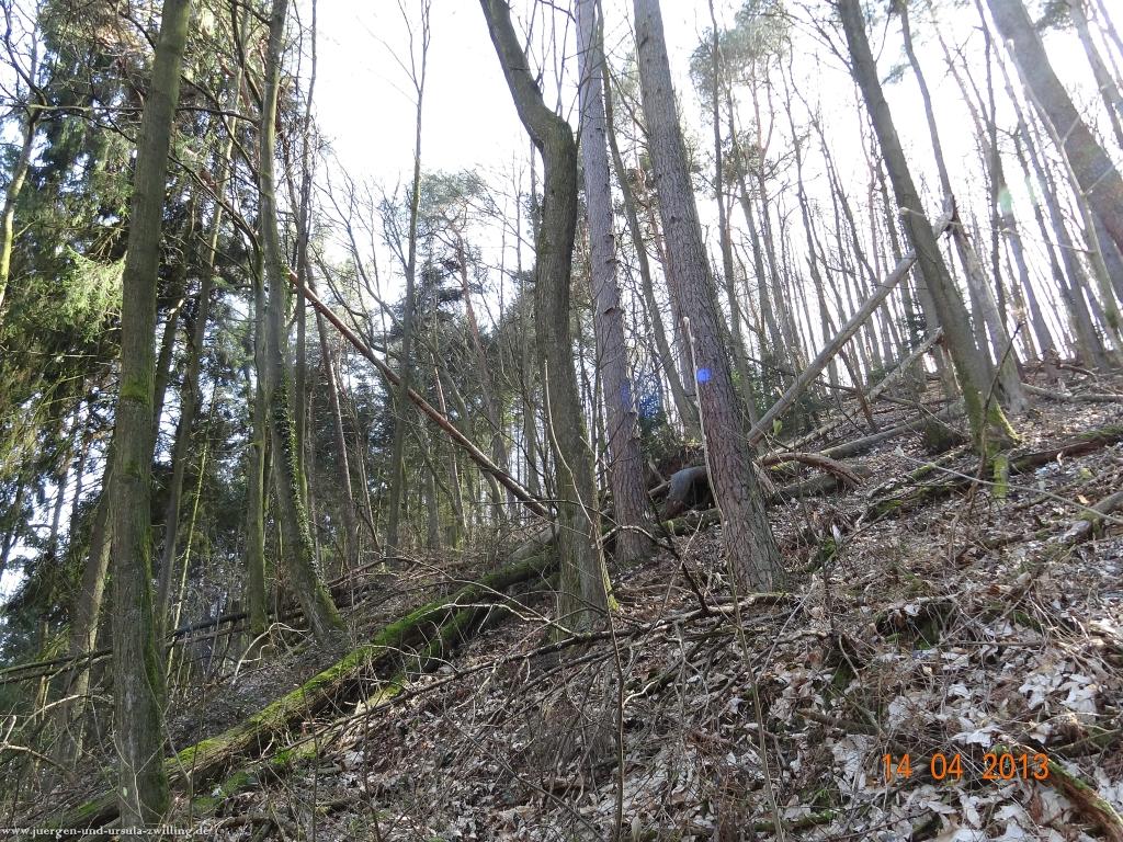 Wandertour Pfälzer Hüttentour