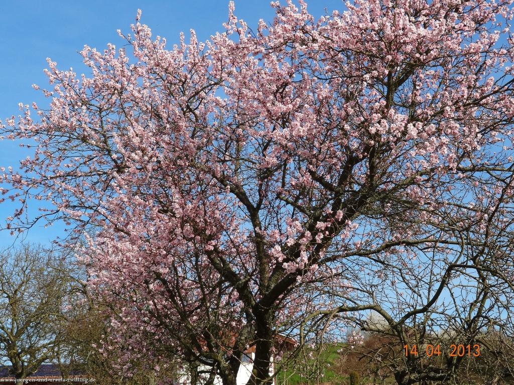 Wandertour Pfälzer Hüttentour