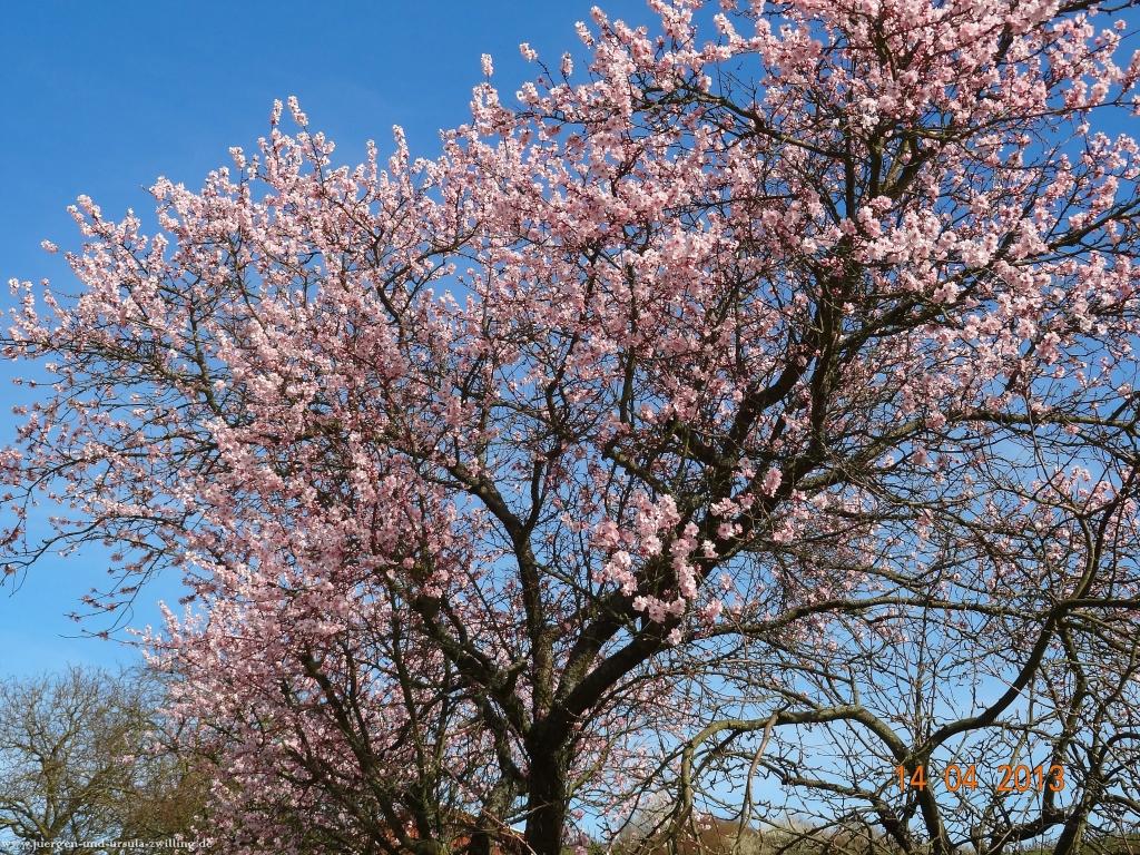 Wandertour Pfälzer Hüttentour