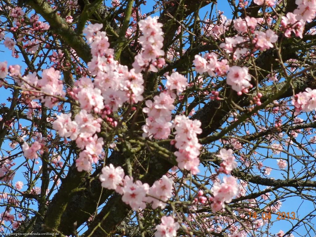 Wandertour Pfälzer Hüttentour