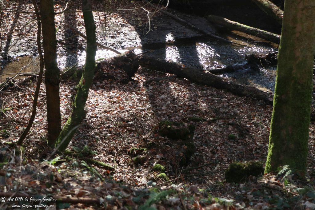 Philosophische Bildwanderung Europäischer Kulturweg - Aschaffenburg - Spessart