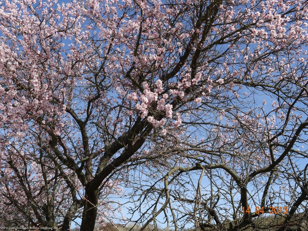 Wandertour Pfälzer Hüttentour