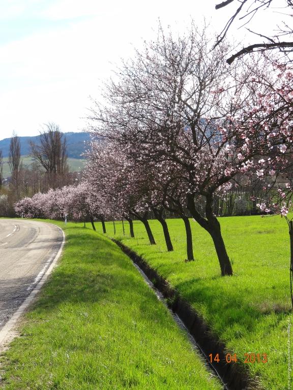 Wandertour Pfälzer Hüttentour