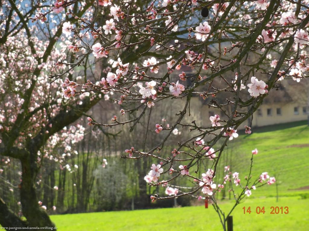 Wandertour Pfälzer Hüttentour