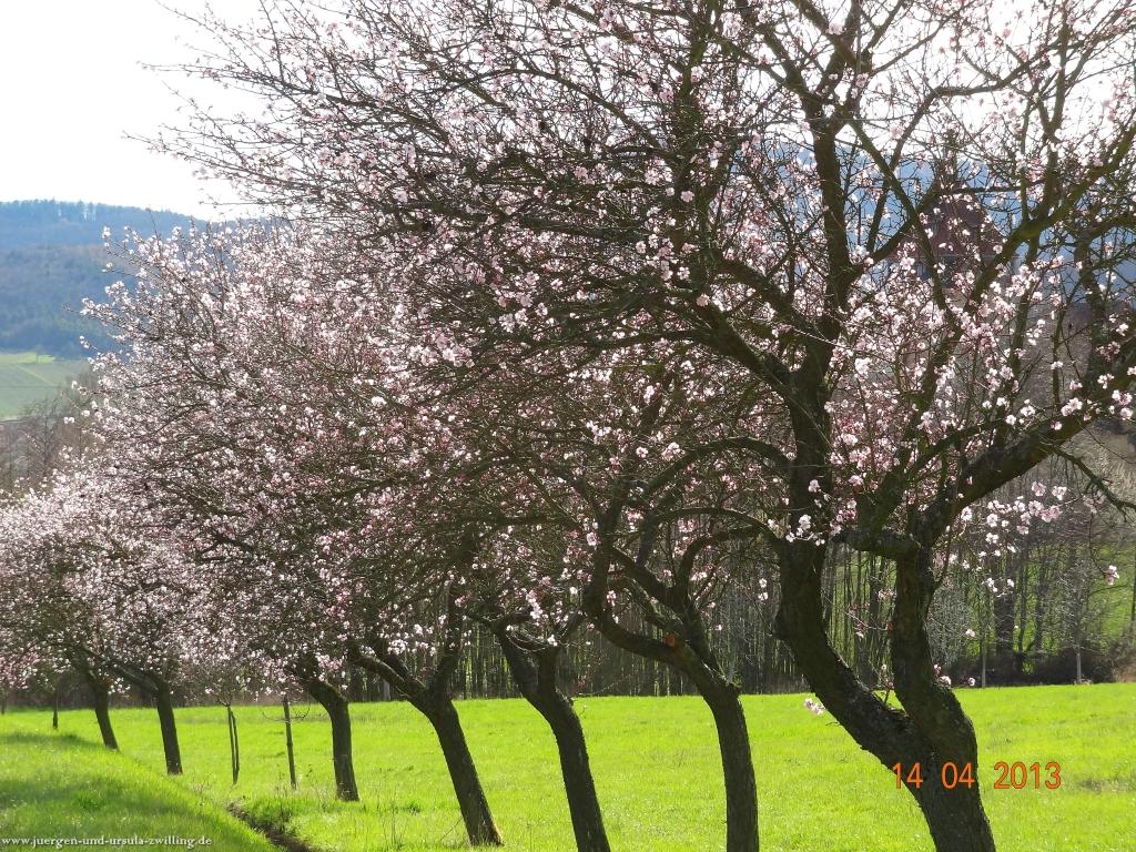 Wandertour Pfälzer Hüttentour
