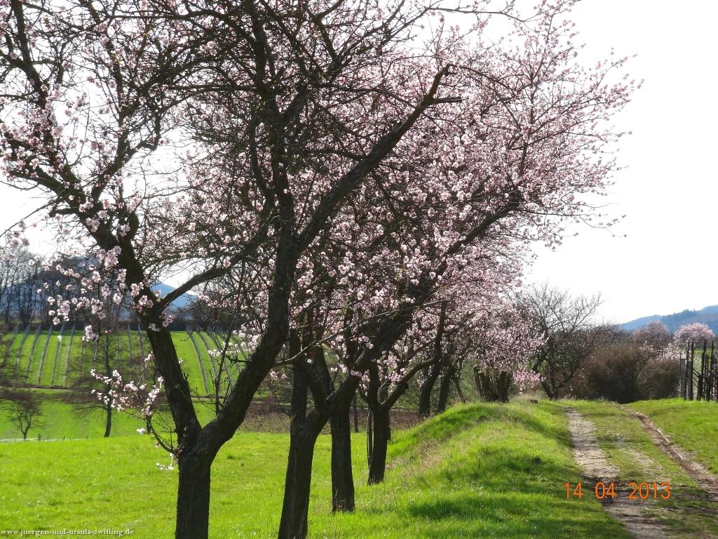 Wandertour Pfälzer Hüttentour