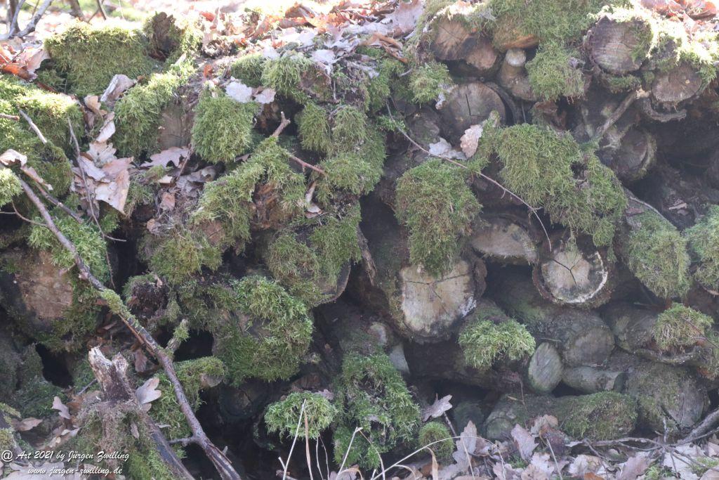 Philosophische Bildwanderung Europäischer Kulturweg - Aschaffenburg - Spessart