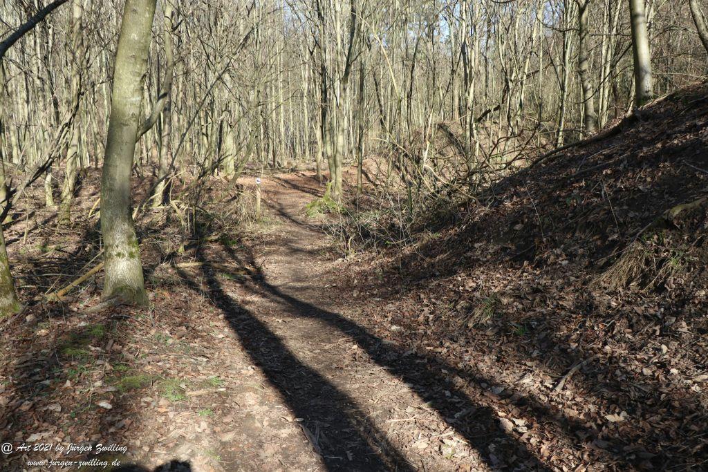 Philosophische Bildwanderung Europäischer Kulturweg - Aschaffenburg - Spessart