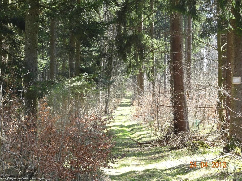 Philosophische Bildwanderung Traufgang-Schlossfelsenpfad