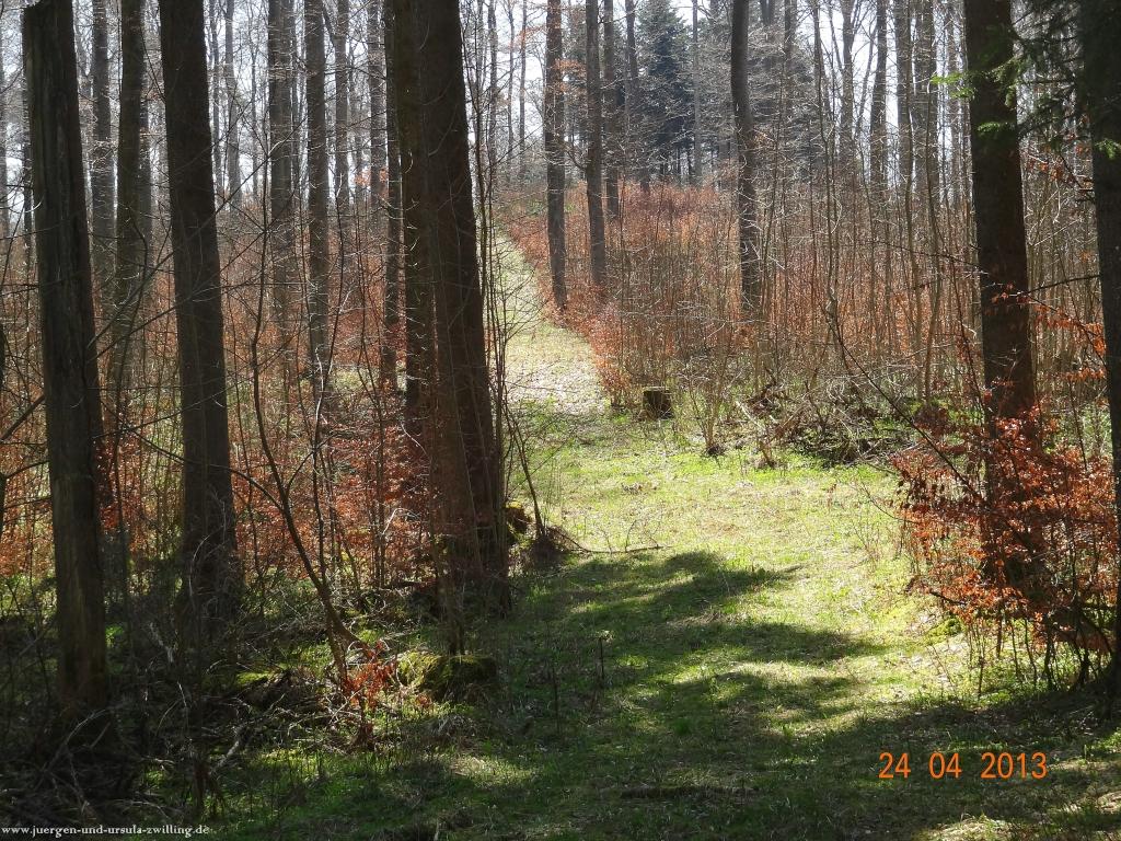 Philosophische Bildwanderung Traufgang-Schlossfelsenpfad