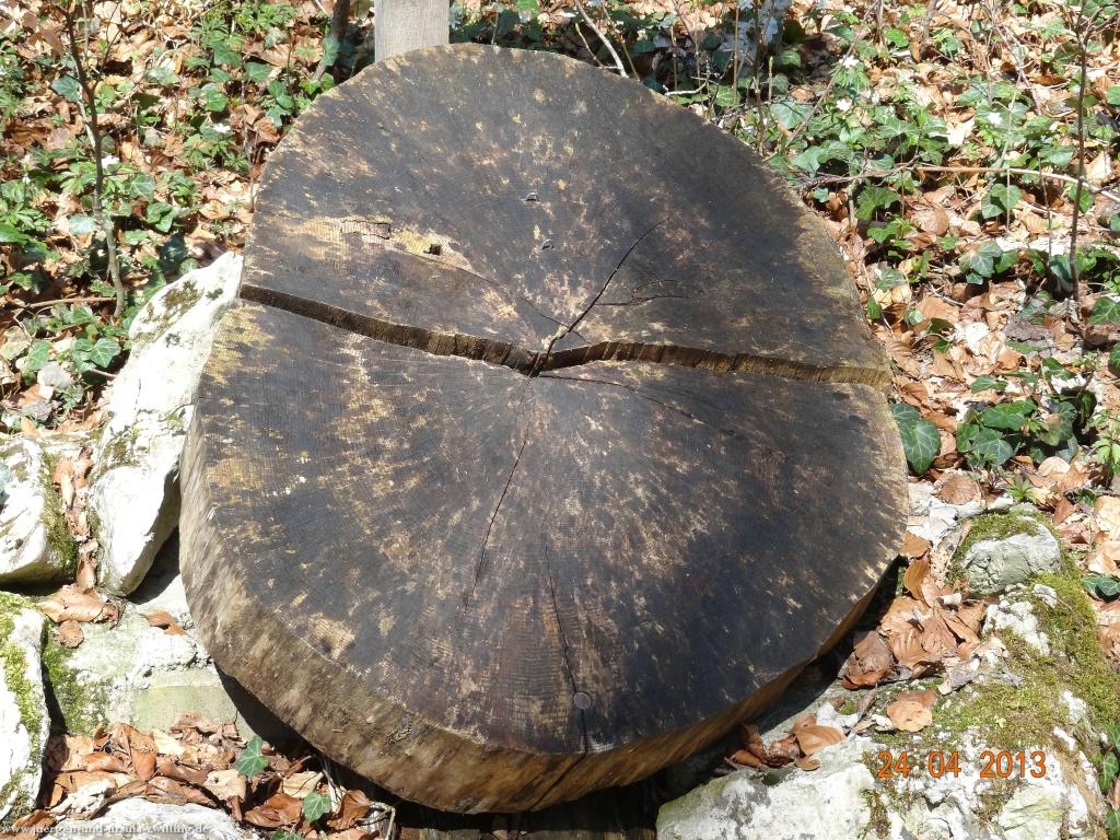 Philosophische Bildwanderung Traufgang-Schlossfelsenpfad