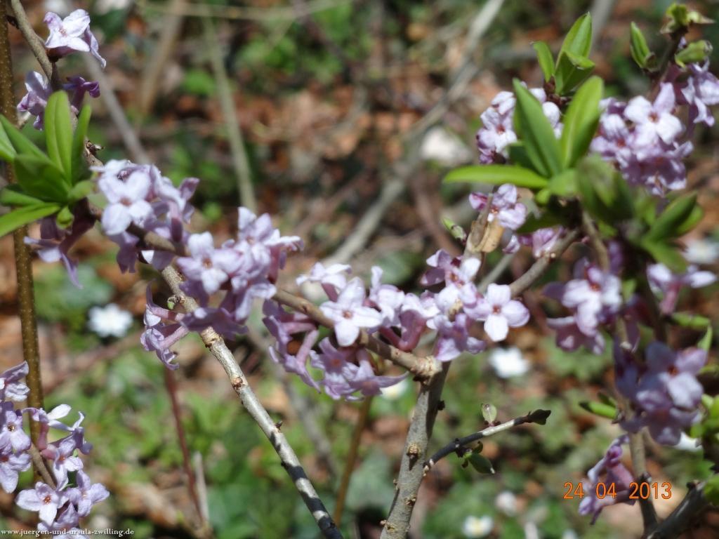 Philosophische Bildwanderung Traufgang-Schlossfelsenpfad