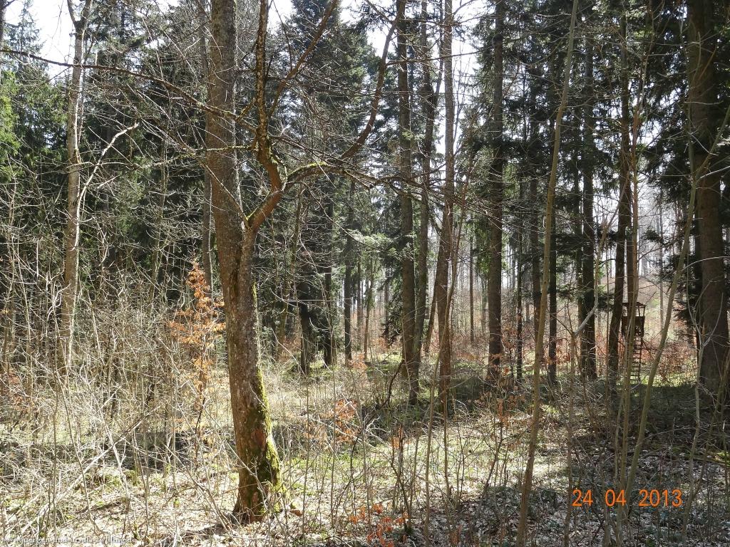 Philosophische Bildwanderung Traufgang-Schlossfelsenpfad