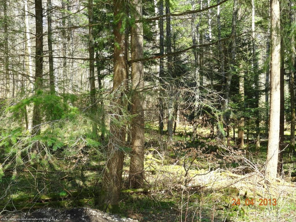 Philosophische Bildwanderung Traufgang-Schlossfelsenpfad