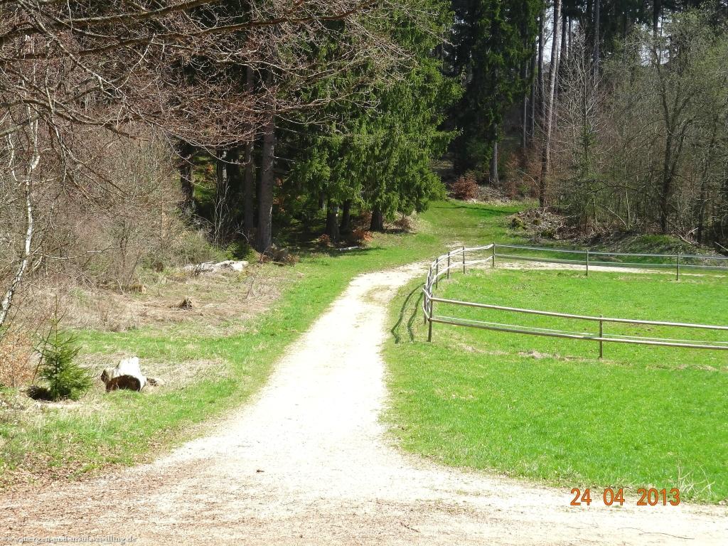 Philosophische Bildwanderung Traufgang-Schlossfelsenpfad