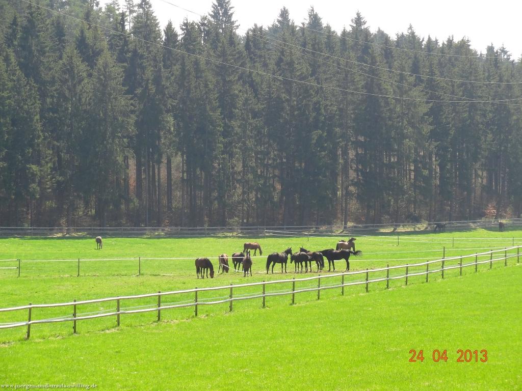Philosophische Bildwanderung Traufgang-Schlossfelsenpfad