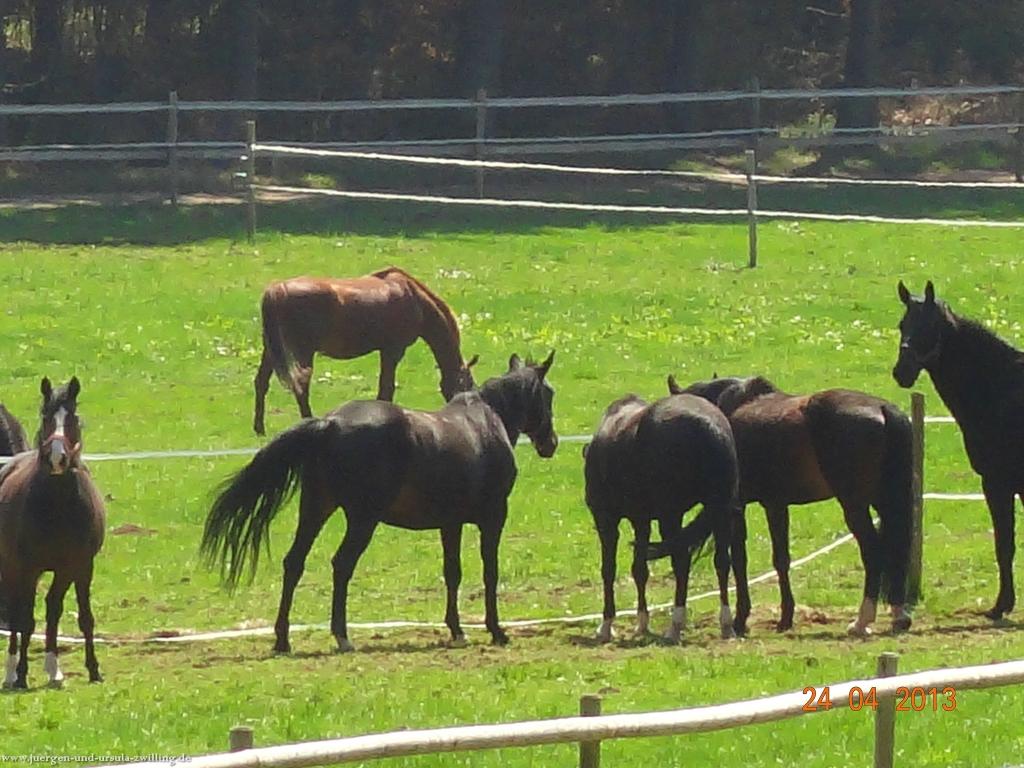 Philosophische Bildwanderung Traufgang-Schlossfelsenpfad
