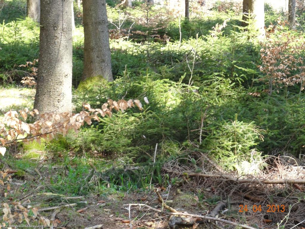 Philosophische Bildwanderung Traufgang-Schlossfelsenpfad