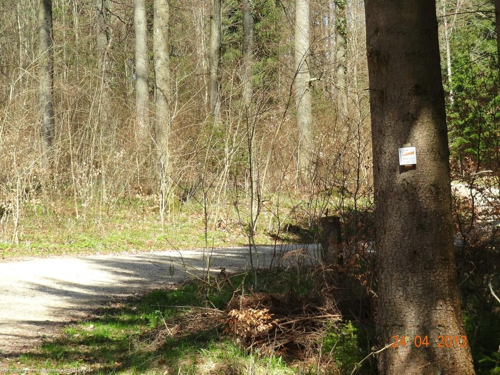 Philosophische Bildwanderung Traufgang-Schlossfelsenpfad