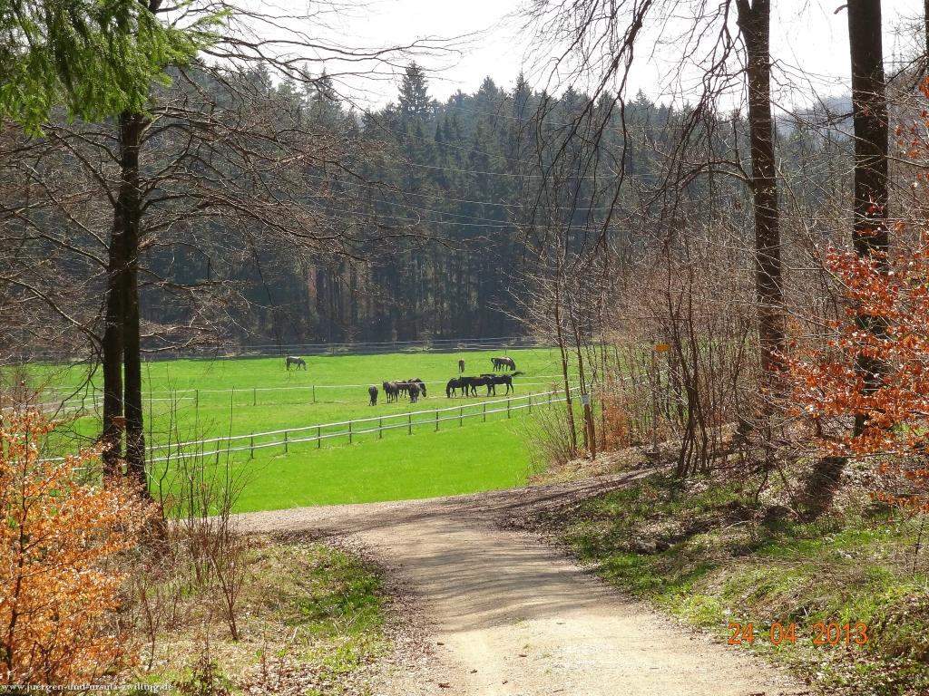 Philosophische Bildwanderung Traufgang-Schlossfelsenpfad