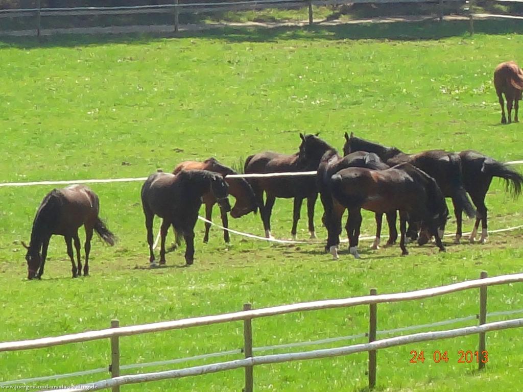 Philosophische Bildwanderung Traufgang-Schlossfelsenpfad
