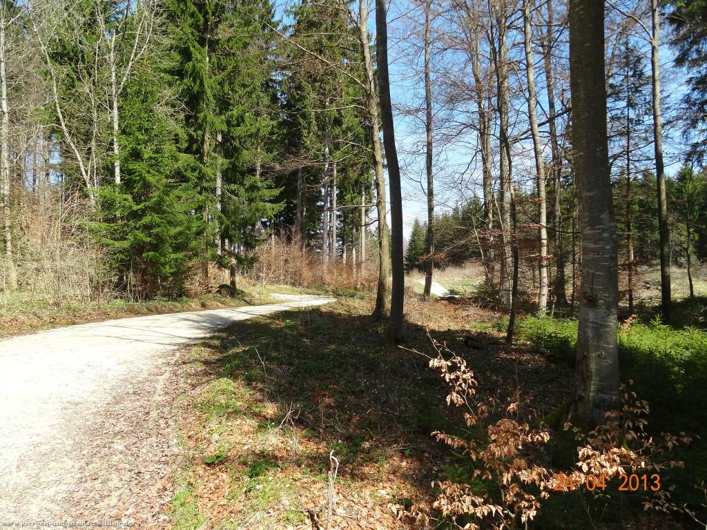 Philosophische Bildwanderung Traufgang-Schlossfelsenpfad