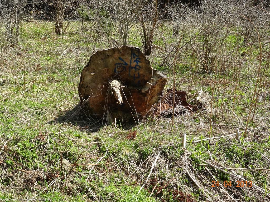Philosophische Bildwanderung Traufgang-Schlossfelsenpfad