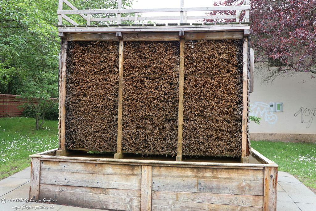 Philosophische Bildwanderung von Bad Kreuznach nach Bad Münster am Stein - Nahetal - Rheinhessen